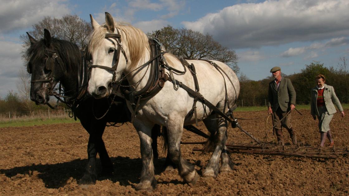 Wartime Farm E4 Wartime Farm Knowledge.ca